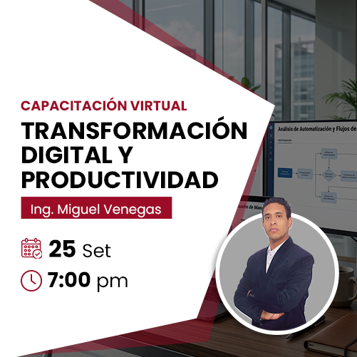 Transformación Digital y Productividad