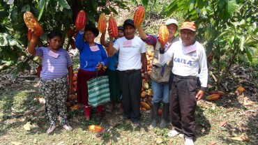 Destinan más de 23 millones de soles a proyectos productivos y obras viales en la selva de Puno