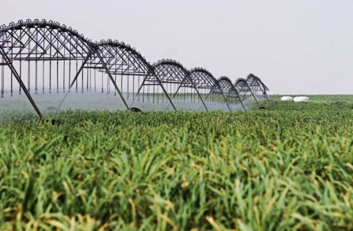 Obras por Impuestos podrían ejecutar cartera de inversión agraria por S/ 717 millones