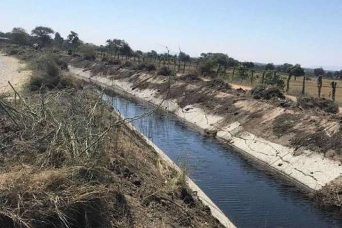 Piura: optimizarán 15,000 hectáreas de cultivo tras limpieza de canal Tambo Grande