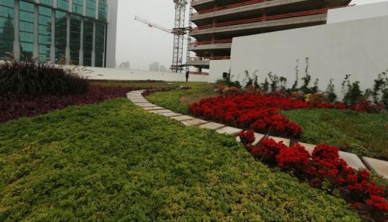 San Borja fomenta construcción de “edificios verdes” autorizando que tengan mayor altura