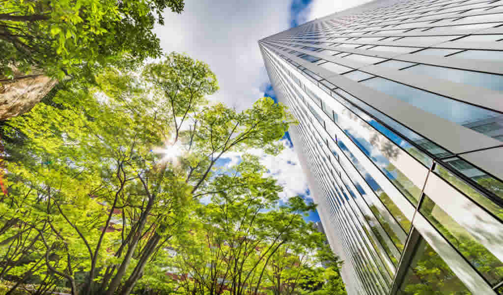 Edificios consumen 40% de la demanda energética y emiten un tercio de los gases efecto invernadero