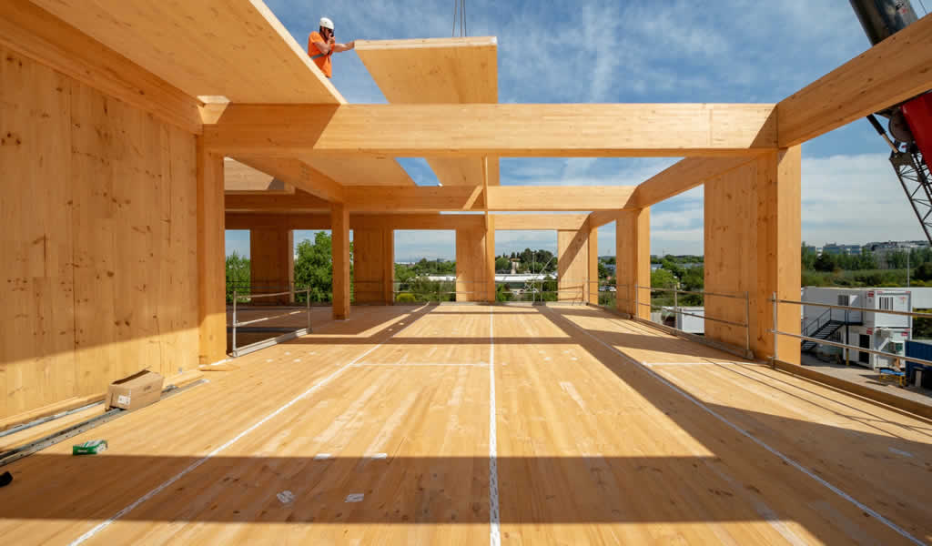 Expertos ratifican múltiples beneficios en construcción de viviendas con madera